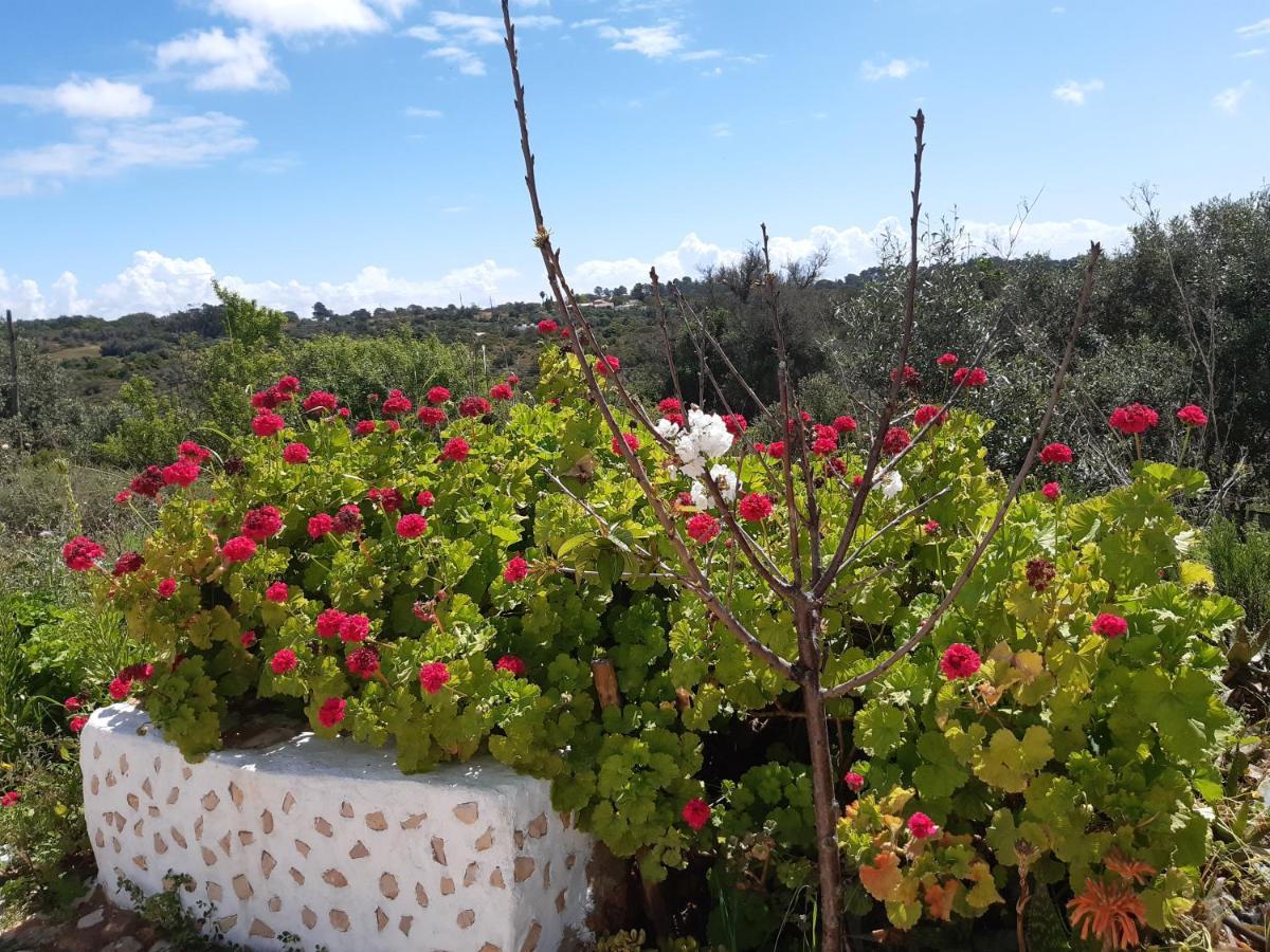 Quinta da Jolanda-Happy Family Farm Apartamento Lagos Exterior foto